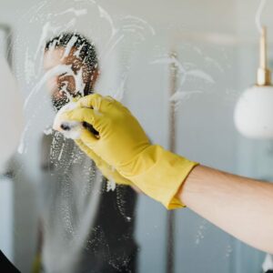 professional home cleaning services in Kochi