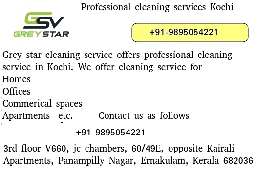 professional cleaning Kochi